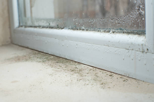 Best Residential Mold Inspection & Testing  in Allison Rk, PA